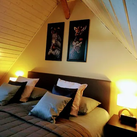 Appartement Eifel-appartement *